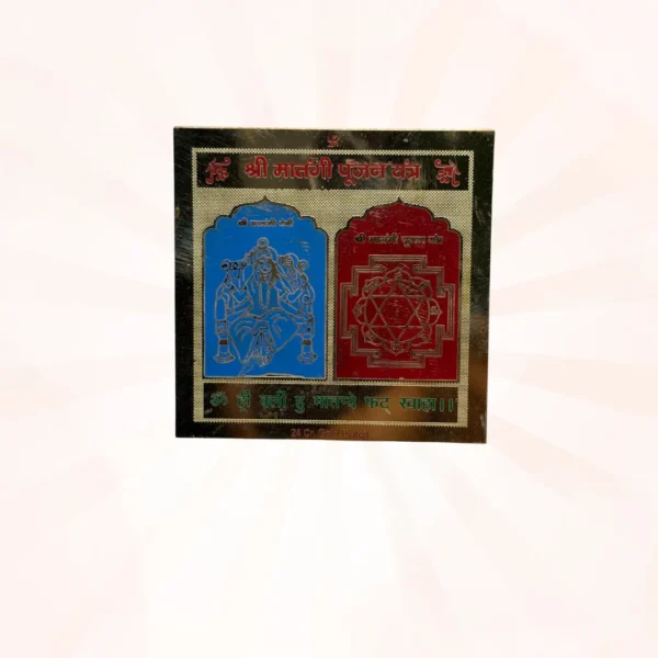 Shree Matangi Poojan Yantra