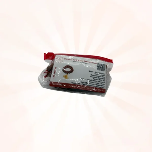 5 Face Rudraksh Jaap Certified Mala - Image 2