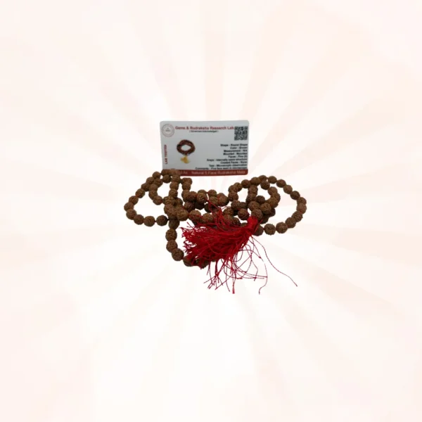 5 Face Rudraksh Jaap Certified Mala - Image 3