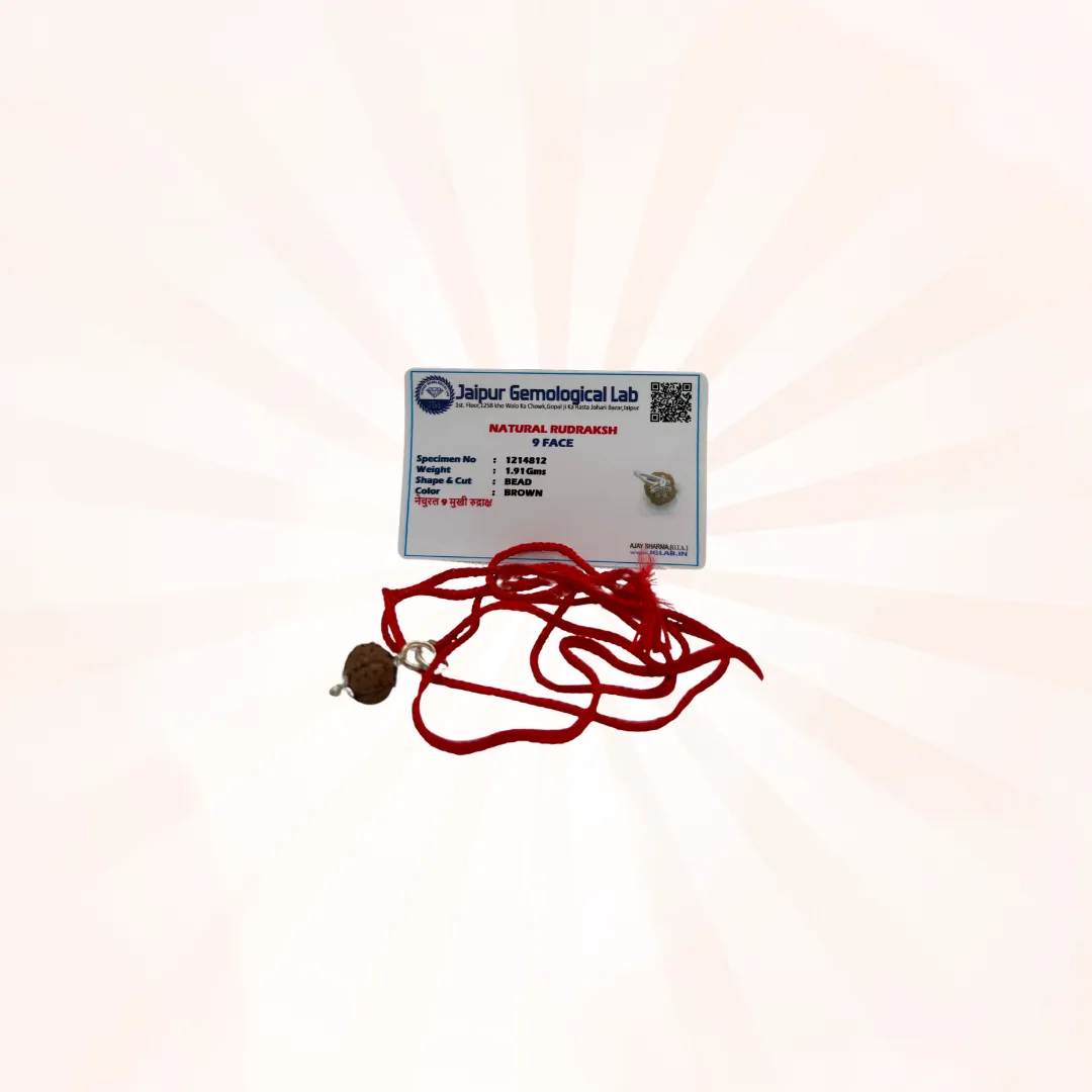 9 Face Rudraksh Amulet