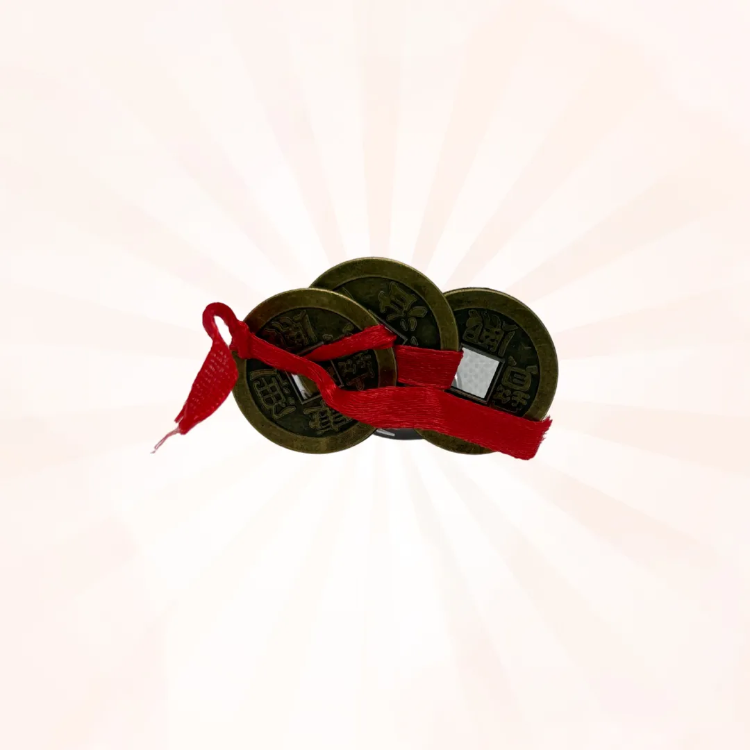 Feng Shui Lucky Coin